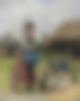 In the Farmyard (preview)