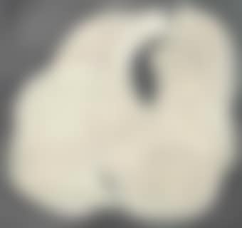 Bibs (preview)