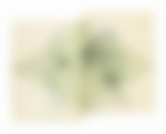 Untitled (Portrait of Guy Weill) (preview)