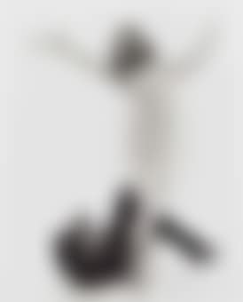 David Bailey, Veruschka, 1965 (preview)