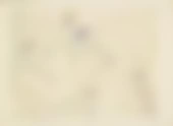 One plate, from: Verve Nos. 29-30 (preview)