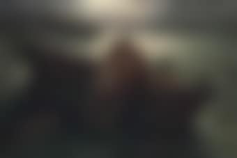 The Sirens' song (preview)