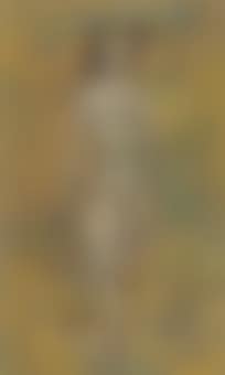 Mujer con sombrero (preview)