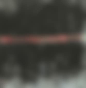 Abstract (preview)