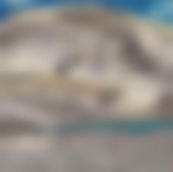 Oasis in the Desert (preview)