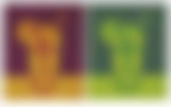 Lemon Squash (2); & Lemon Squash (3) (preview)