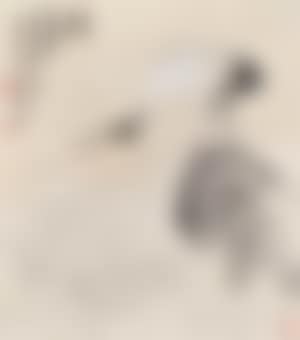 Crane on Rock (preview)