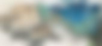 Snow Upon Spring Mountains (preview)