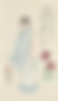 Lady in Indian Dress (preview)