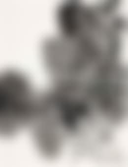 No. 5 (preview)