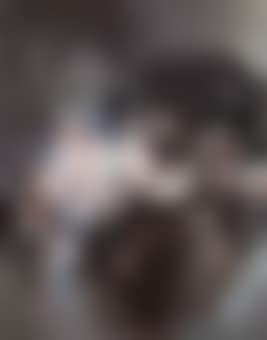 No. 269 (preview)