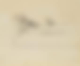 Sofa (preview)