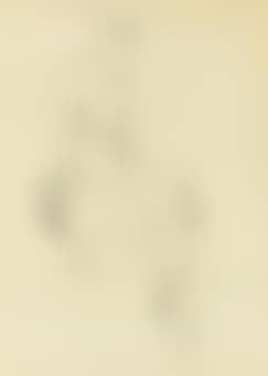 Study for 're Nude' (preview)