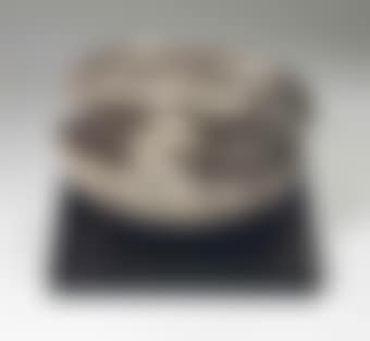Convolute (preview)