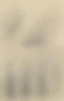 The table-cloth in the Atlantic Ocean (projet d'illustration pour "Babylone" de René Crevel) (preview)