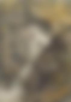 View of Stock Ghyll Force waterfall, Ambleside, Lake District (preview)