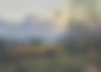 Woodcock at dawn, Banavie, Scotland (preview)
