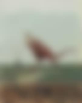 Orter (preview)