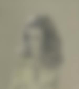 A Girl (Pauline Tennant) (preview)