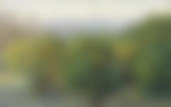 View of the Citadel, Corfu, with an orange grove in the foreground (preview)