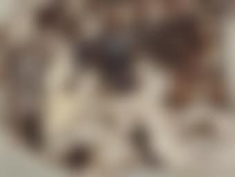 Vagrants (preview)