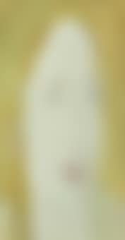 Head of a Woman (preview)