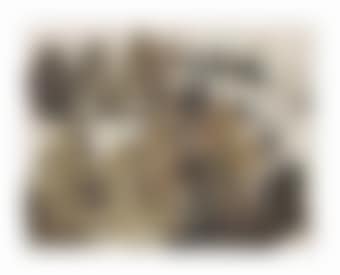 Untitled (preview)