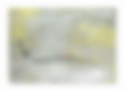 Talls (Slices) (preview)