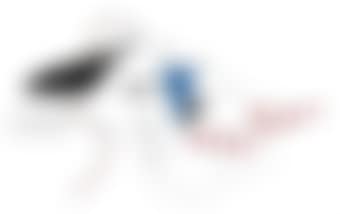 Le Serpent rouge (The Red Snake) (preview)