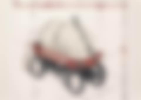 Package on Radio Flyer Wagon (Project) (Schellmann 163) (preview)