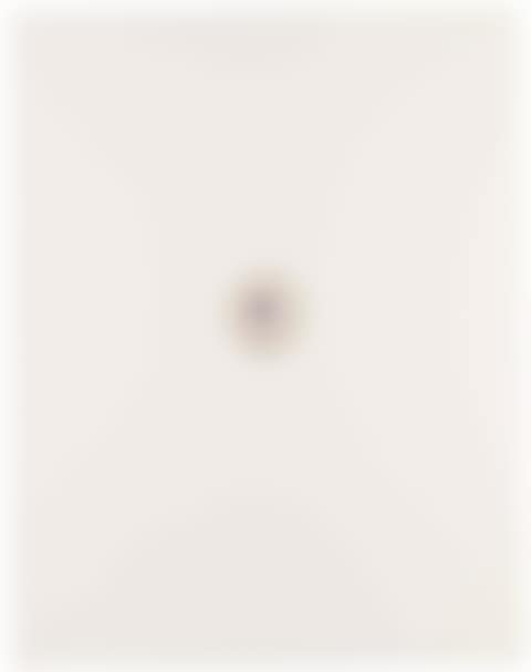 Ring-a-ring of Roses, from: In a Spin, The Action of the World on Things, Volume I (see Paragon Press Vol. III, p. 81 and 80) (preview)