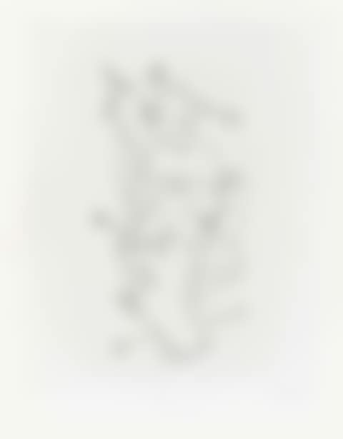 Untitled, from VVV Portfolio (preview)