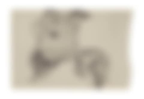 Two Petunias (preview)