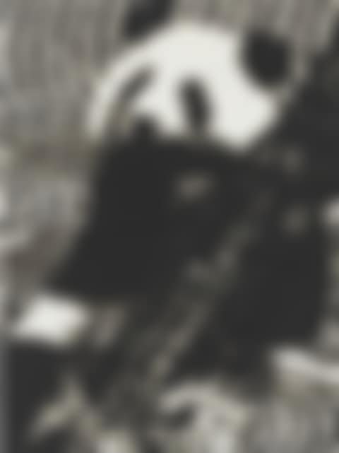 Panda (preview)