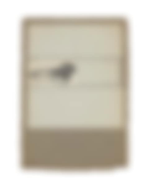 Untitled [foot] (preview)