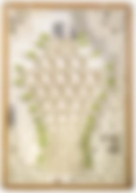 Albero Madre (preview)