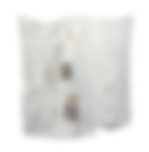 Untitled (Hoarfrost) (preview)