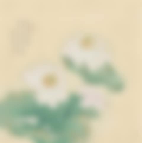 Lotus (preview)