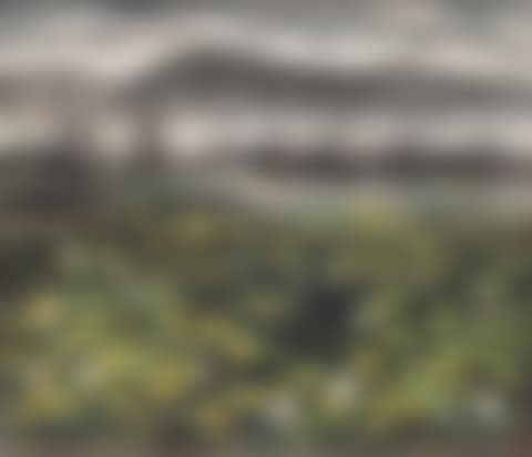 Lotus Pond (preview)