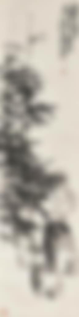 Bamboo and Rock (preview)