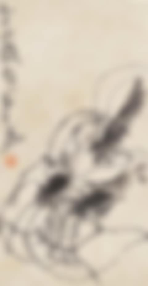 Shrimp (preview)
