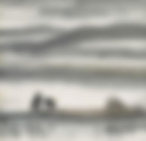Cormorants on a Boat (preview)