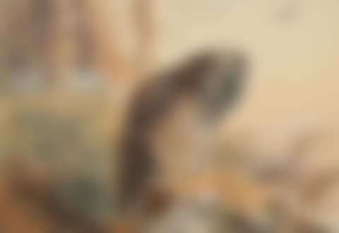 Great grey owl (preview)