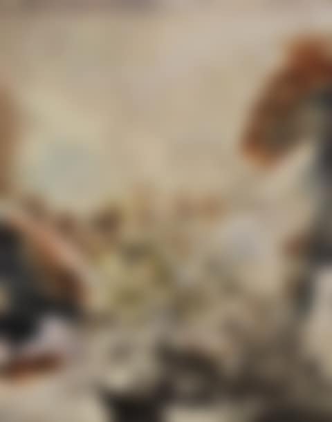 UNTITLED (preview)