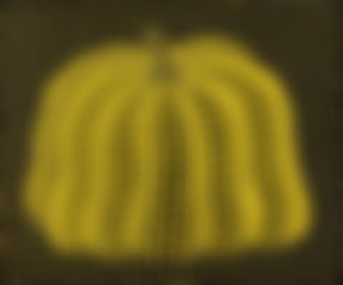 PUMPKIN (T. WA) (preview)