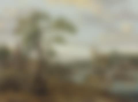A village river landscape with boats on the water (preview)