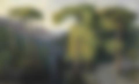 The Forest of Bavella (preview)
