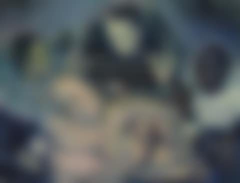 The Concert (preview)