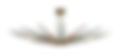 A RARE 'DALIA' CHANDELIER (preview)