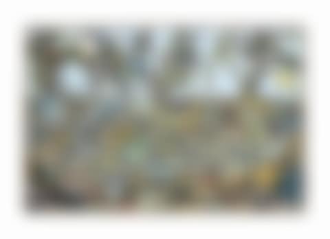 Fishscape (preview)